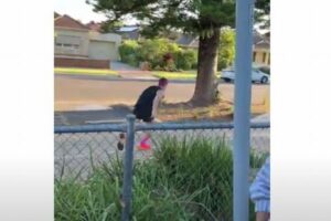 人間VSトラム！男性がユニークな競争に挑戦【オーストラリア】