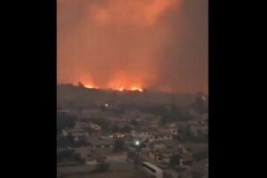 南米のチリで大規模な森林火災、1600人が自宅から退避、99人が死亡