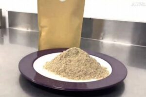 コオロギから食用の粉を作る会社、ついに販売許可を得る【イタリア】