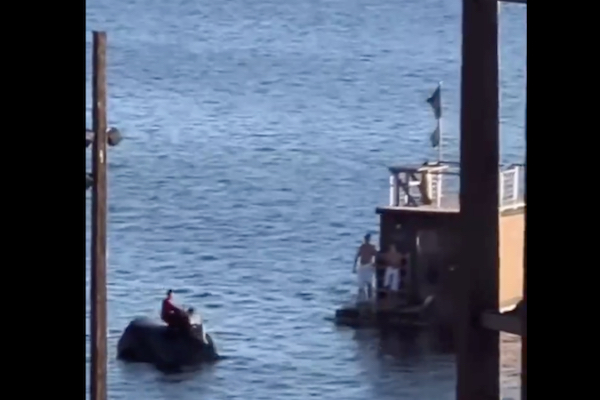 ノルウェーのフィヨルドにテスラ車が落ち、海に「浮くサウナ」に救助される