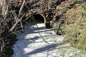 酪農工場から牛乳が流出し小川が真っ白に【アメリカ】