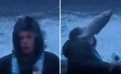 ノルウェーのニュースレポーター、嵐の中、飛んで来た魚にノックアウトされる