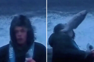 ノルウェーのニュースレポーター、嵐の中飛んで来た魚にノックアウトされる