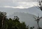 パプアニューギニアで部族対立により、少なくとも64人が死亡