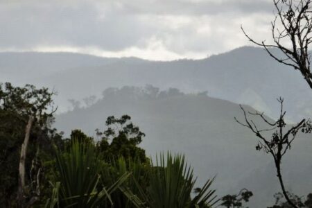 パプアニューギニアで部族対立により、少なくとも64人が死亡