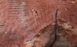 ブラジルで約2000年前に描かれた、膨大な数の岩の彫刻を発見