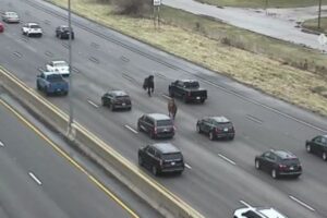 逃げ出した2頭の馬が高速道路に出現、軽やかに走っていく【動画】