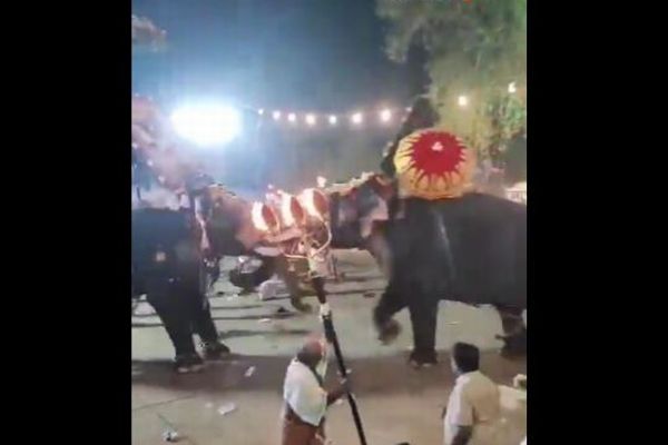 インドの祭りで2頭のゾウが争い、参加していた数十人が負傷【動画】