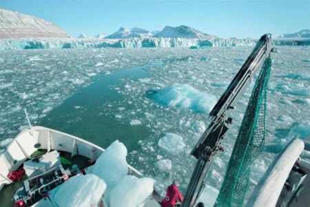 グリーンランドの会社が、カクテル用に北極の氷を輸出して物議に