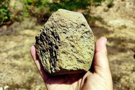 ウクライナで発見された100万年以上前の石器、ヨーロッパでの初期人類の証拠