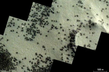 まるで無数のクモのよう！火星の表面に不思議な模様を発見