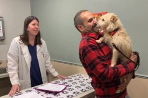 昨年の夏から行方不明だったワンコ、4800km離れた場所で発見【アメリカ】