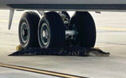 巨大なワニが米空軍基地に出現、航空機の下に横たわる