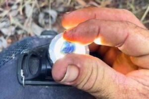 少年が自宅の近くで、約100万円相当のサファイアを発見【オーストラリア】