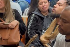 NYの地下鉄に、2匹のニシキヘビを巻き付けた乗客が出現【動画】