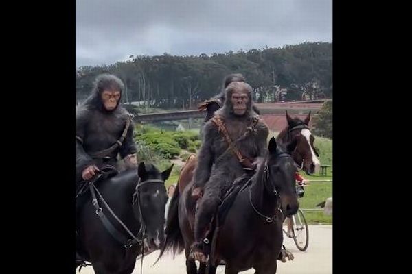 『猿の惑星』の衣装を着た人物が馬に乗って出現、人々も驚愕【動画】