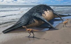 体長が25mもある巨大な海の恐竜を特定、最大の魚竜である可能性