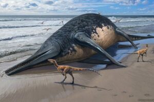 体長が25mもある巨大な海の恐竜を特定、最大の魚竜である可能性