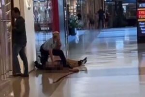 豪のショッピングセンターで、ナイフを持った男が6人を刺殺