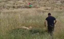 イスラエルの男性がパレスチナの旗を蹴った瞬間、仕掛けられた爆弾が炸裂【動画】