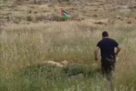 イスラエルの男性がパレスチナの旗を蹴った瞬間、仕掛けられた爆弾が炸裂【動画】