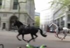 ロンドンの町を、負傷した馬たちが駆け抜けていく【動画】