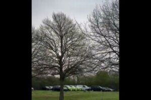 警察のパトカーが故障？実は鳥がサイレンの音を真似ていた！【動画】