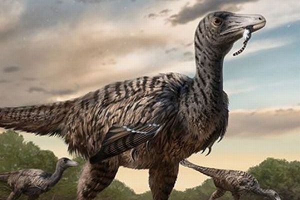 中国で発見された恐竜の足跡、大型のベロキラプトルの可能性