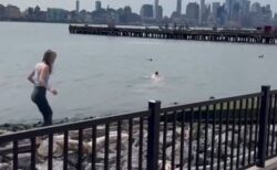 川で流されていく犬を救うため、男性が飛び込み救助【動画】