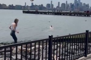 川で流されていく犬を救うため、男性が飛び込み救助【動画】