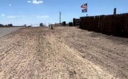 米・ネバダ州の町に大量のコオロギが発生、道路や壁を覆いつくす【動画】