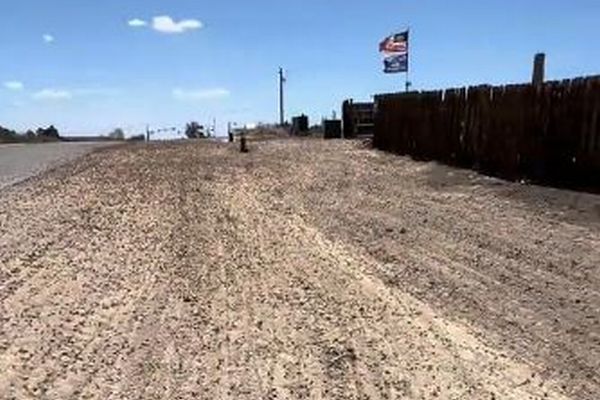 米・ネバダ州の町に大量のコオロギが発生、道路や壁を覆いつくす【動画】