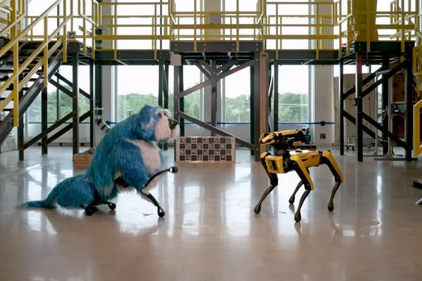 「ボストン・ダイナミクス」のロボット犬が、犬の衣装をまといダンス