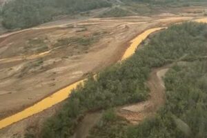 アラスカの複数の川がオレンジ色に変色、気候変動の影響の可能性