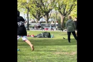 家族で賑わう公園で、性行為に及んだカップルに非難轟々【ニューヨーク】