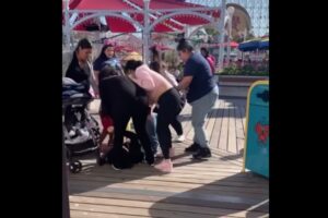 米・ディズニーランドで、母親の集団が女性に制裁、暴力シーンが撮影される