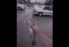 空から魚が降る現場で動画が撮影された【イラン】