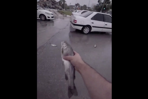 空から魚が降る現場で動画が撮影された【イラン】