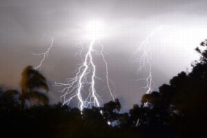 落雷により牧場主と34頭の牛が死亡【アメリカ】
