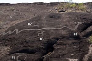 南米で発見された巨大なヘビの岩絵、境界線を示していた可能性