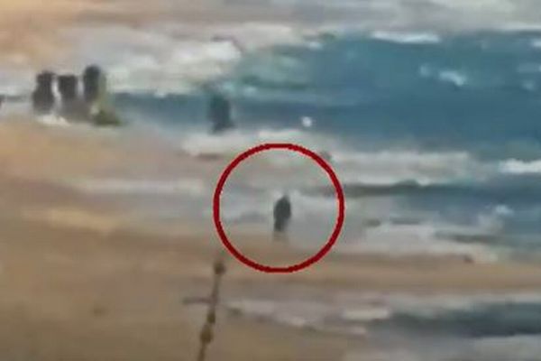 イスラエル兵が、海岸沿いを歩くパレスチナ人を次々と射殺【ガザ地区】