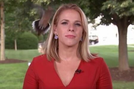 ホワイトハウスからの生中継前、女性レポーターの頭にハトが着地【動画】