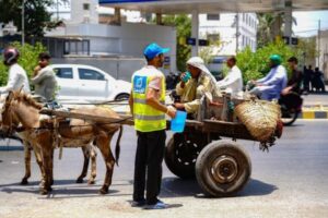 パキスタン南部で気温が上昇、過去6日間で500人以上が死亡