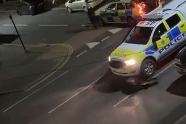 英警察が逃げた牛をパトカーで2度も轢く、怒りの声が殺到【動画】