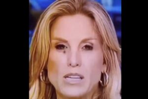 プロ意識の高いニュースキャスター、放送中にハエを呑む