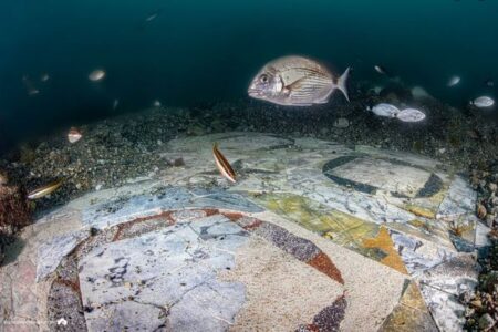 海に沈んだローマの遺跡から、美しい大理石の床を発見