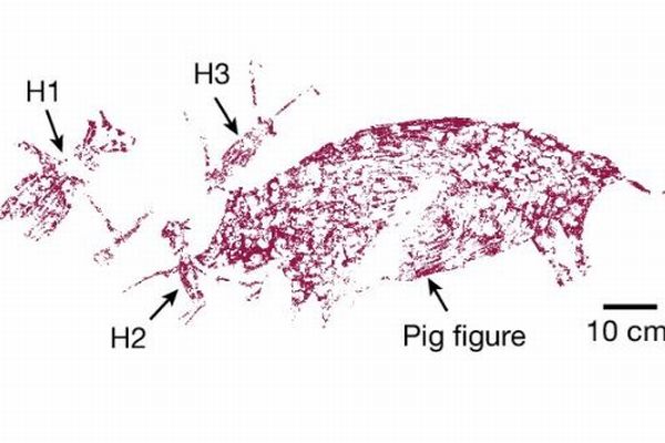 インドネシアで最古の洞窟壁画を発見、人やブタの姿が描かれる