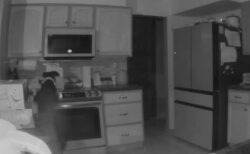 犬が真夜中にオーブンをつけて発火、家が火事になる瞬間【動画】