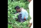 インドで巨大なニシキヘビが男性の首に巻きつき、締め上げる【動画】