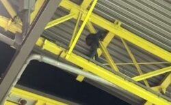 【ユーロ2024】男がスタジアムの屋根に登り逮捕、試合中断時に